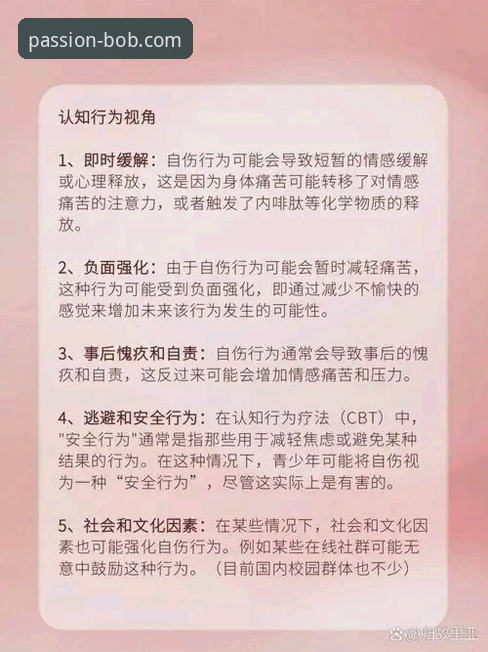 专业体育服务平台怎么下载 伍兹药驾风波详解:从赛场传奇到药物依赖的警示