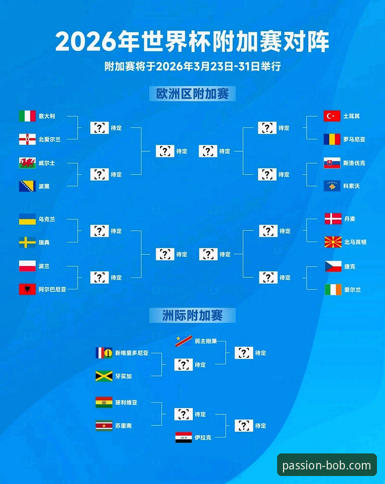 资深球迷分享：从半岛BOB体育深度解析意大利无缘世界杯的深层原因